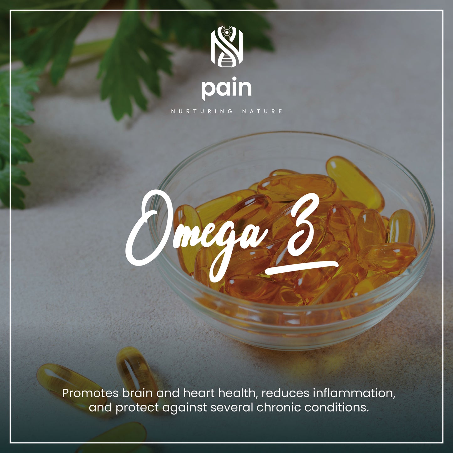 Natro - Omega 3 Pure & Wild