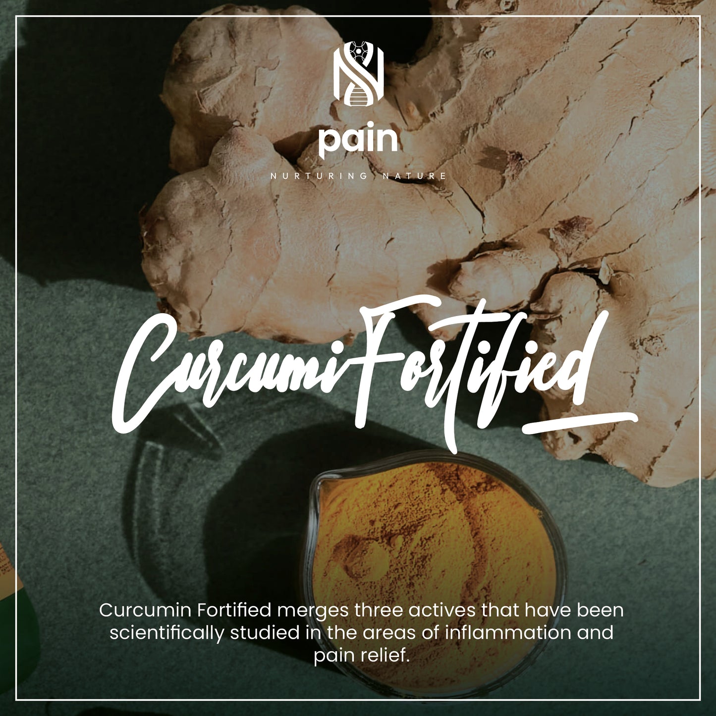 Natro-Curcumin Fortified