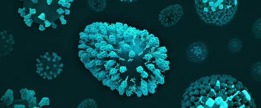 The Gut-Pain Connection: How Microbiome Health Affects Pain Levels