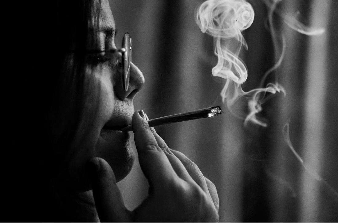 what happens if your dog eats a cigarette Is It Dangerous To Vape Around Pets?