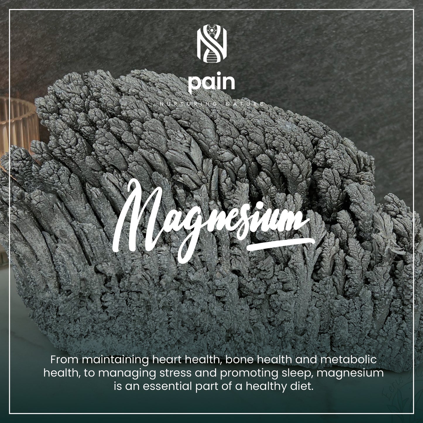 Natro-Magnesium Complete